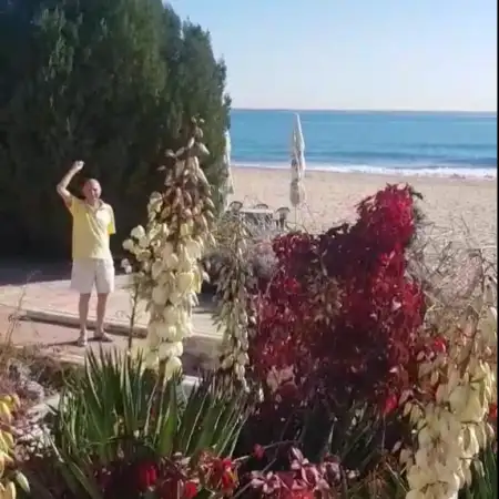 Alex, 76Нюрнберг, Германия 