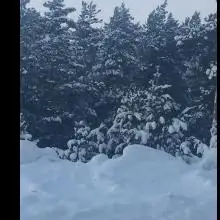 Alex, 50Дюссельдорф, Германия 