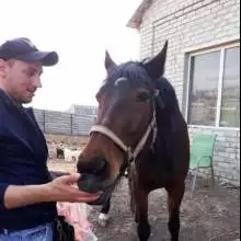 Андрей, 34 года Аугсбург, Германия