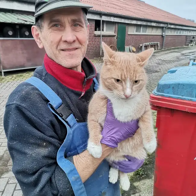 Wyacheslav, 56, Эмден, Германия - 2 polovinka