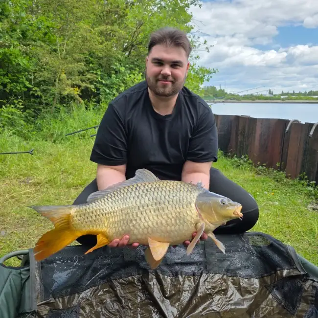 Dennis, 24, Кёльн, Германия - 2 polovinka